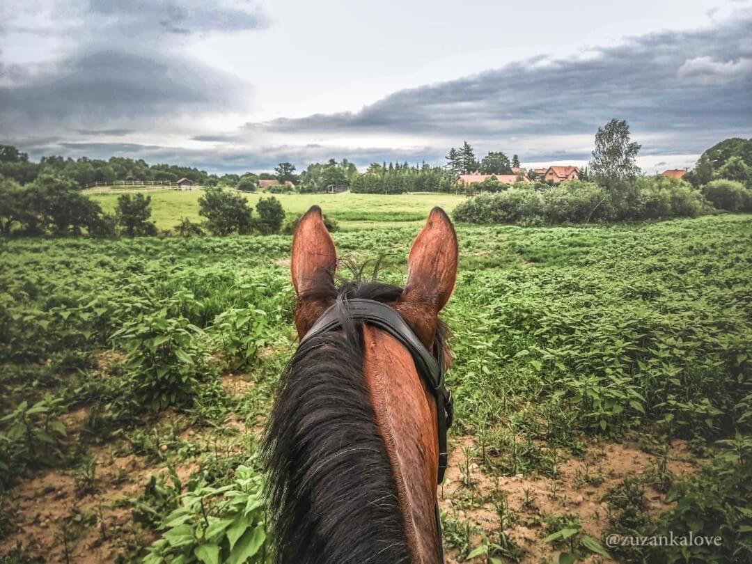Stajnia Lipowo 45 Farma