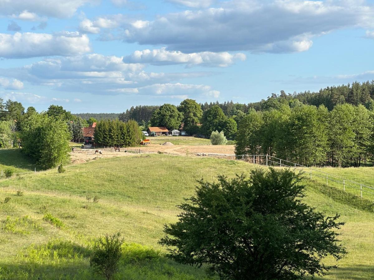 Farma Stajnia Lipowo 45