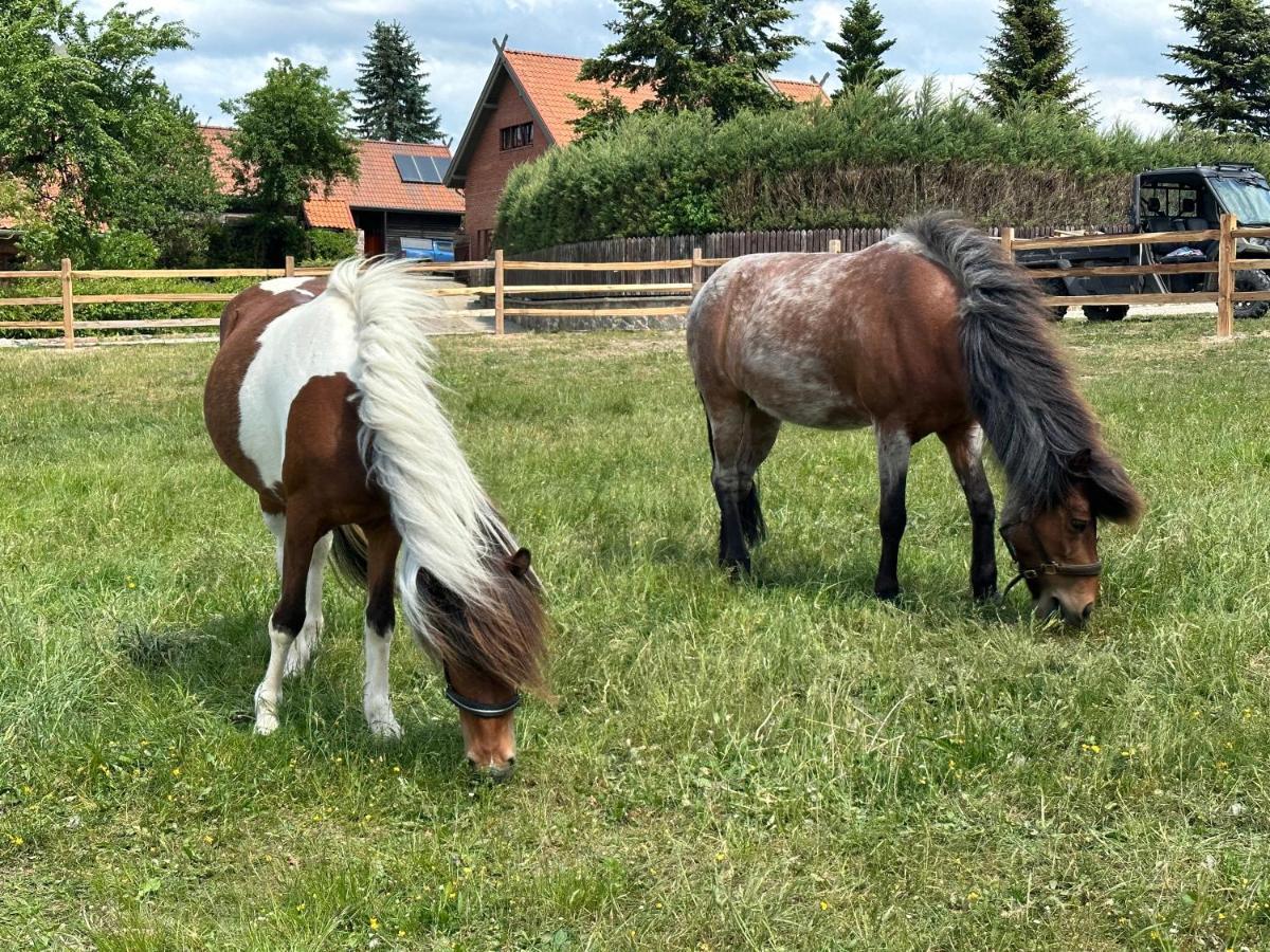 Stajnia Lipowo 45 Farma