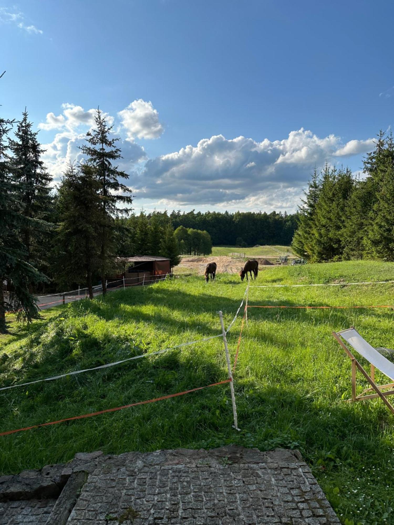 Stajnia Lipowo 45 *