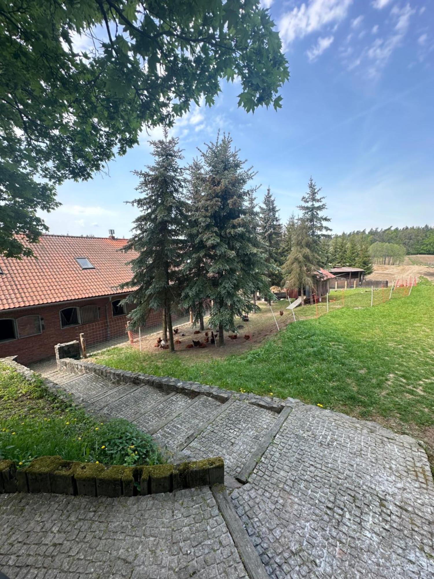 Stajnia Lipowo 45